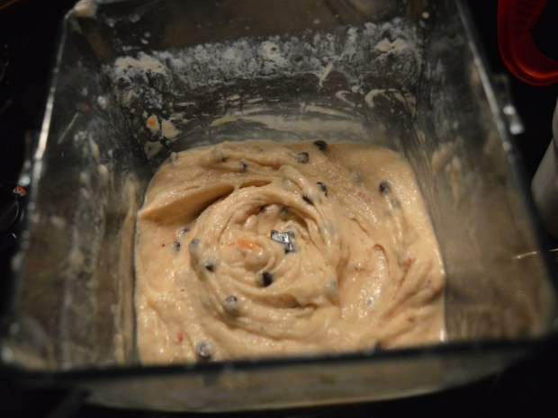 Peanut Butter Chocolate Chip Ice Crean