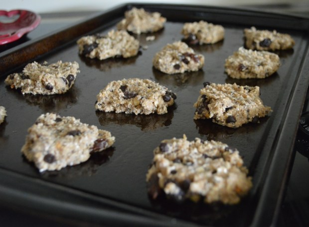 Peanut Butter Protein Cookies