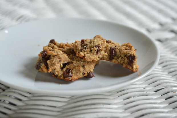 Peanut Butter Protein Cookies