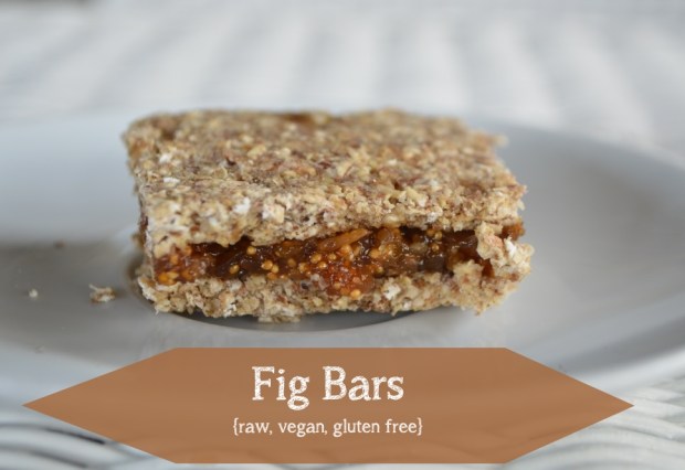 Raw Fig Bars