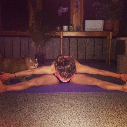 Wide-Angle Seated Forward Bend. Upavistha Konasana