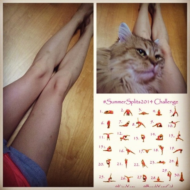 2014-06-30_1404168898