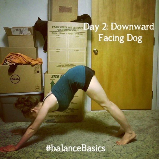 Adho Mukha Svanasana. Downward Facing Dog