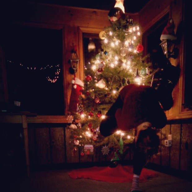 Tree Pose, Vrksasana