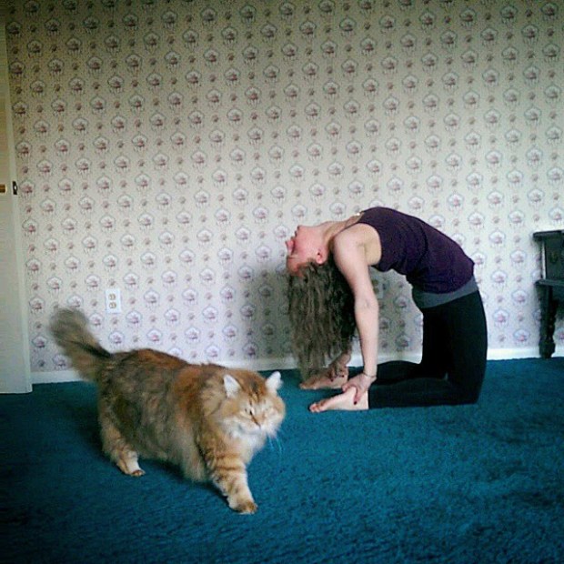 Camel Pose, Ustrasana