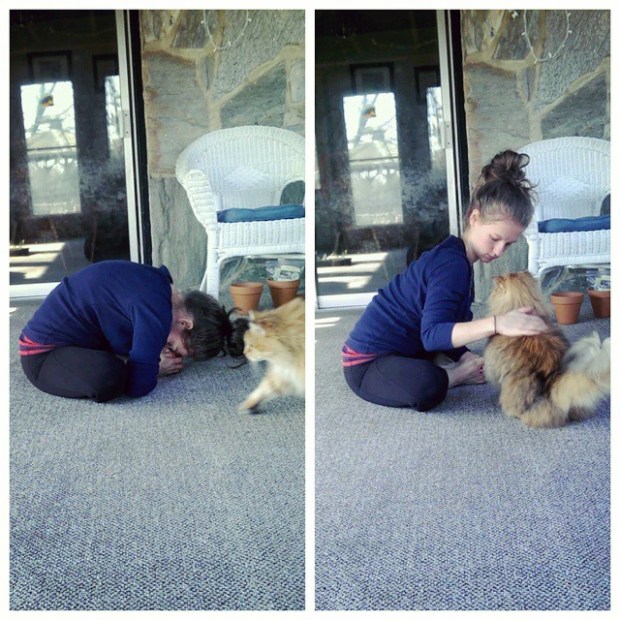 Day 5: Baddha Konasana, Bound Angle Pose