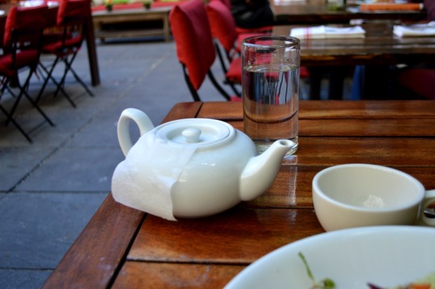 Tea - Indian White