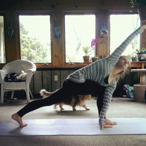 Parsvakonasana B, Twisted Extended Side Angle Posture