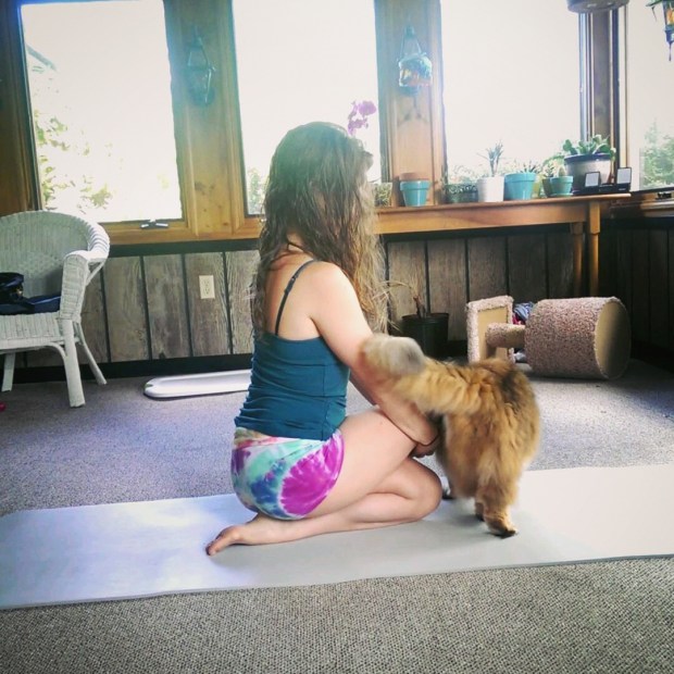 Gomukhasana, Cow Face Pose