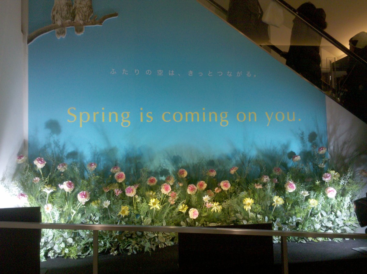 "Spring is coming on you"